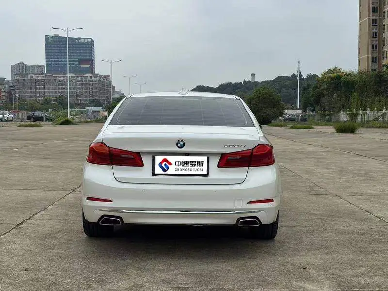 BMW 5 Series 2019 530Li Leading Luxury Package — 3