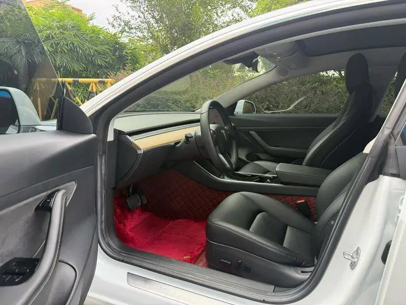 Model 3 2020 Standard Range RWD Upgraded Version — 8