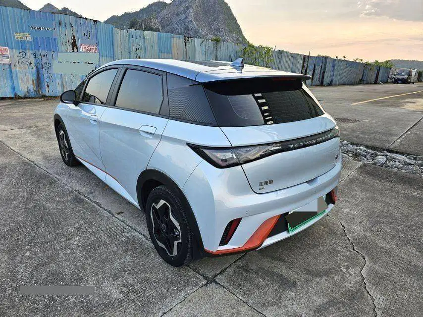 dolphin 2021 405km Freedom Edition — 5
