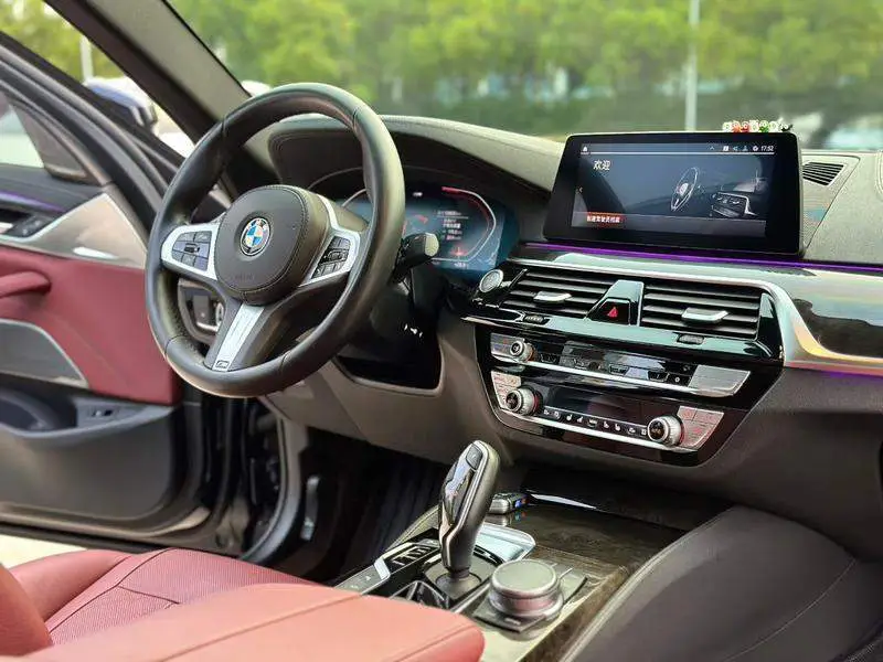 BMW 5 Series 2020 530Li Premium M Sport Package — 8