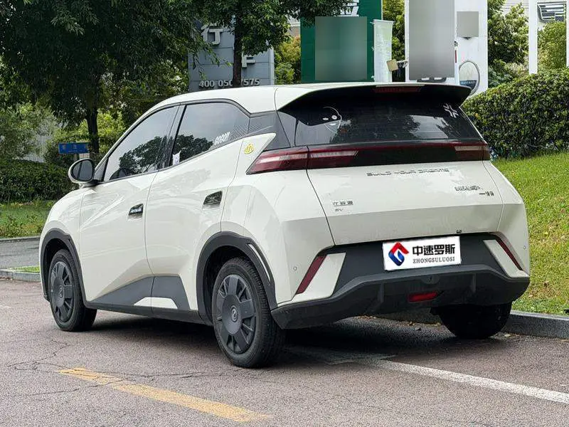 Seagull 2024 Glory Edition 305km Vitality Edition — 4