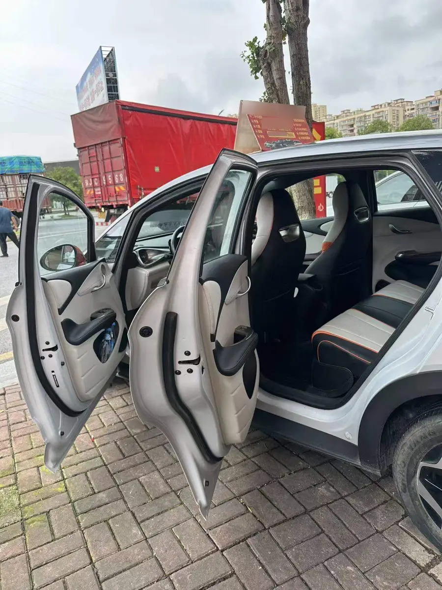 dolphin 2021 405km Freedom Edition — 13