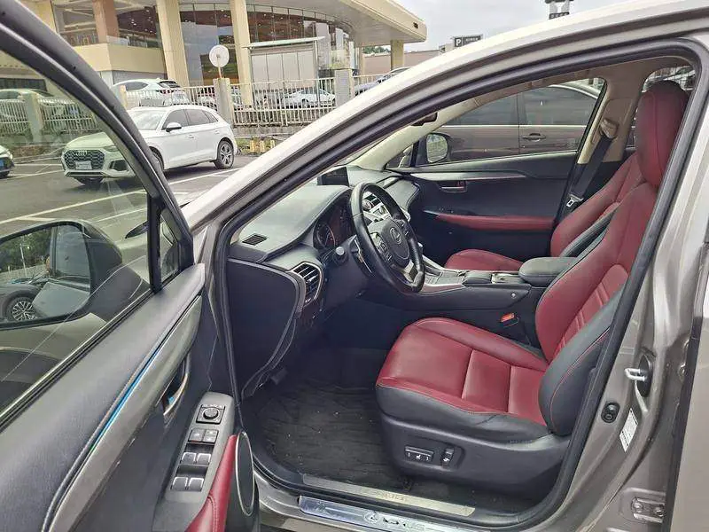 Lexus NX 2020 200 Front-Drive Fengyi Edition National VI — 17