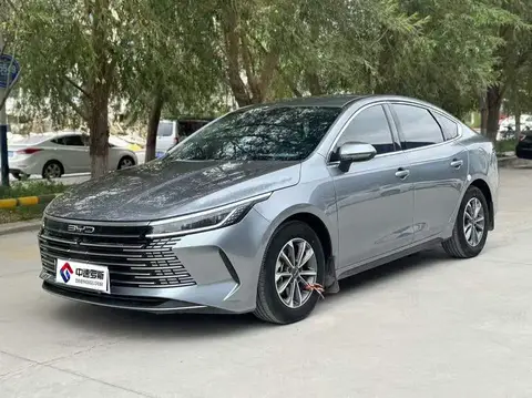 Destroyer 05 2024 Honor Edition DM-i 55KM Luxury
