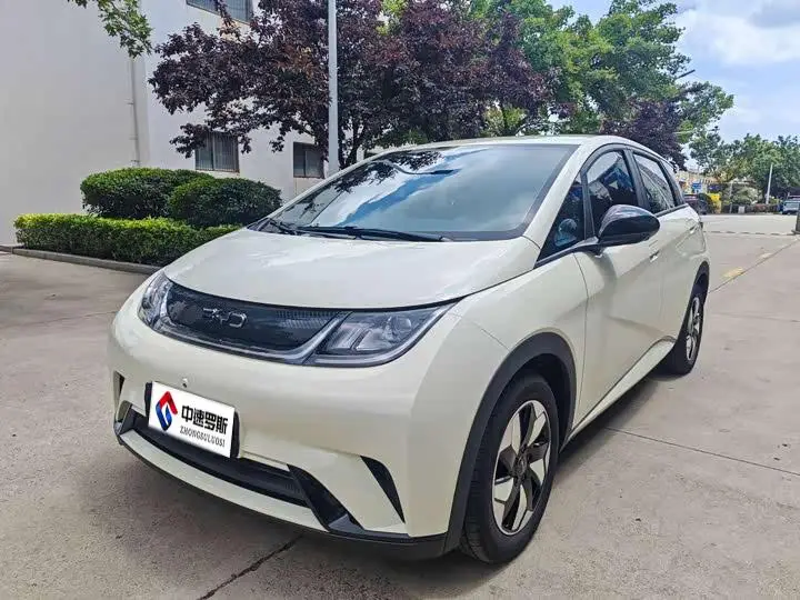 dolphin 2025 420km Freedom Edition
