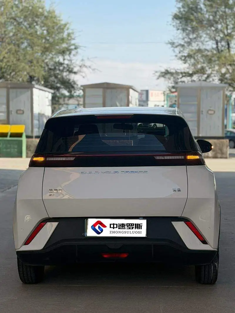 Seagull 2023 Vitality Edition — 5