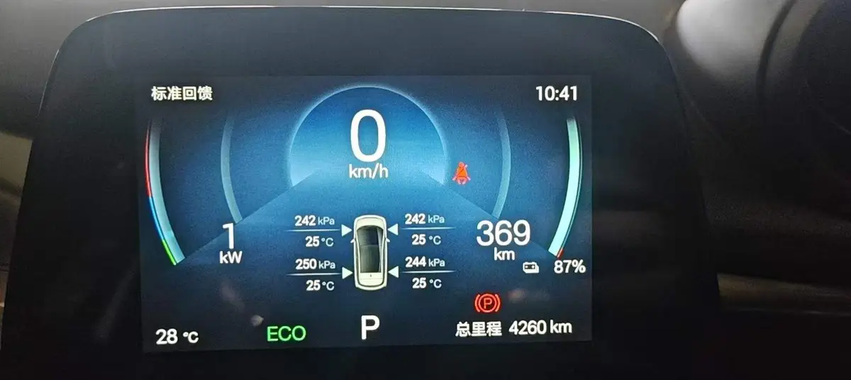 dolphin 2025 420km Freedom Edition — 9