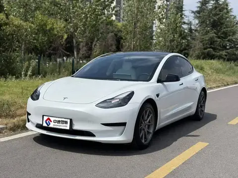 Model 3 2021 Standard Range RWD Upgraded 3D6