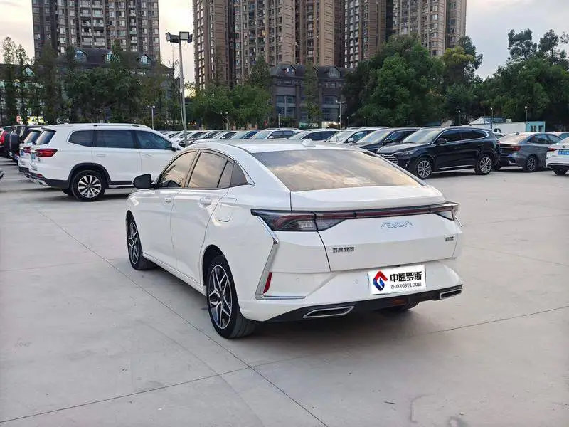 Yixuan 2021 230T Automatic Chasing Edition — 4
