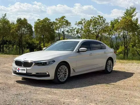 BMW 5 Series 2019 530Li Leading Luxury Package