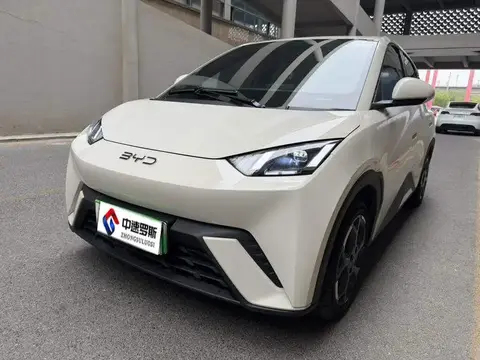 Seagull 2025 Smart Driving Edition 405km Flying Edition