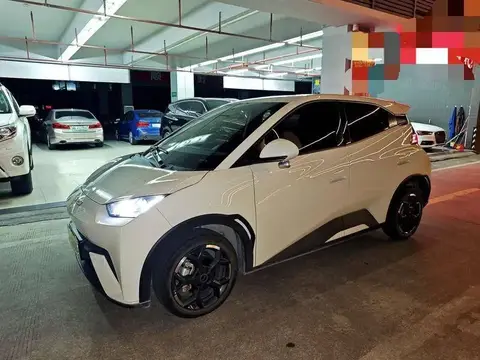 Seagull 2025 Smart Driving Edition 305km Free Edition