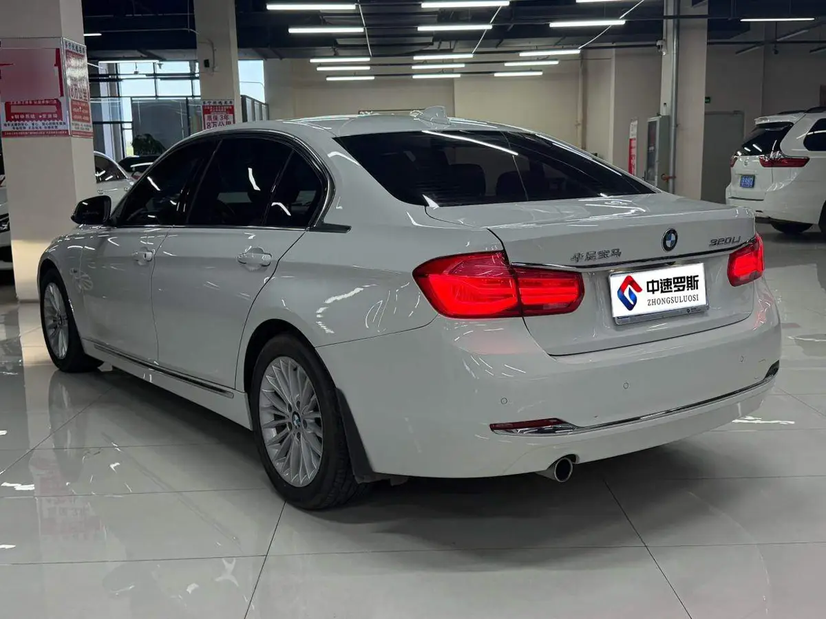BMW 3 Series 2013 320Li Luxury Design Package — 19