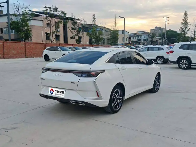 Yixuan 2021 230T Automatic Chasing Edition — 6