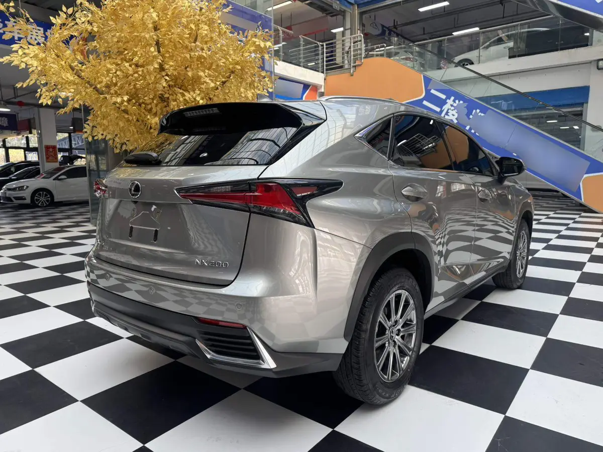 Lexus NX 2020 200 All-wheel Drive Frontier Edition National VI — 4