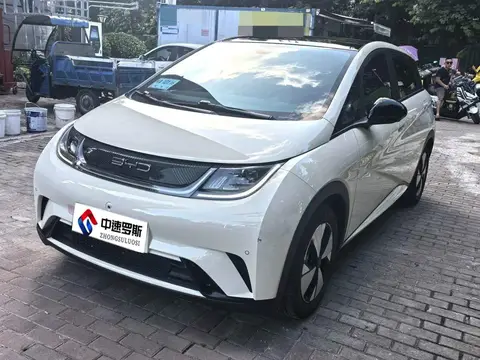 dolphin 2023 420km Fashion Edition