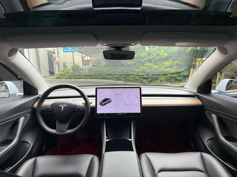 Model 3 2020 Standard Range RWD Upgraded Version — 7