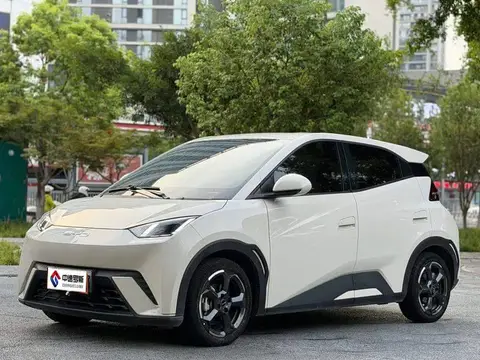Seagull 2024 Honor Edition 305km Freedom Edition