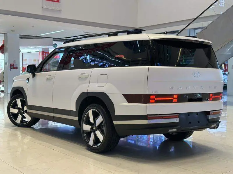 Shengda 2024 2.0T Explorer Pro — 5