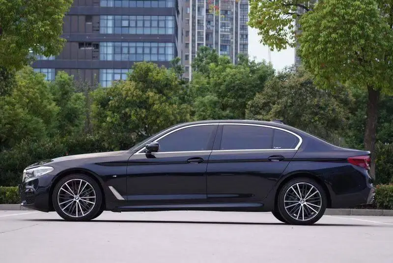 BMW 5 Series 2020 530Li Premium M Sport Package — 4