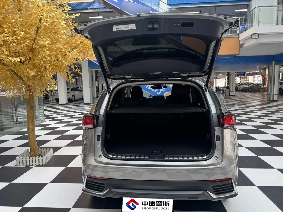 Lexus NX 2020 200 All-wheel Drive Frontier Edition National VI — 19