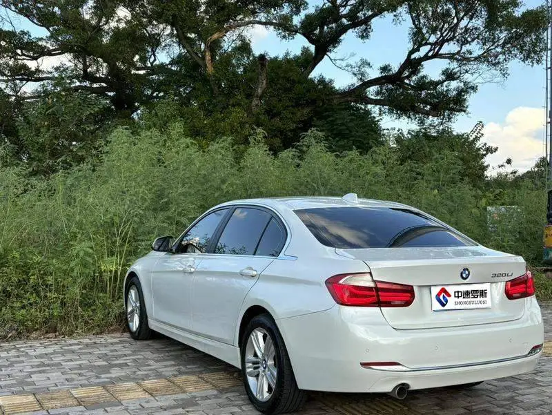 BMW 3 Series 2016 320Li Progressive Edition — 5