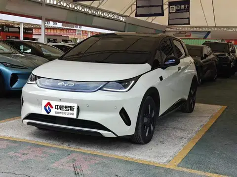 dolphin 2025 Smart Driving Edition 410km Fashion Edition