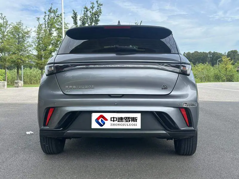 dolphin 2024 Honor Edition 420km Freedom Edition — 5