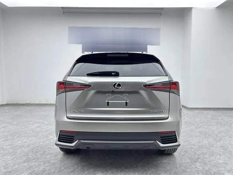 Lexus NX 2020 200 All-wheel Drive Front Edition National V — 5