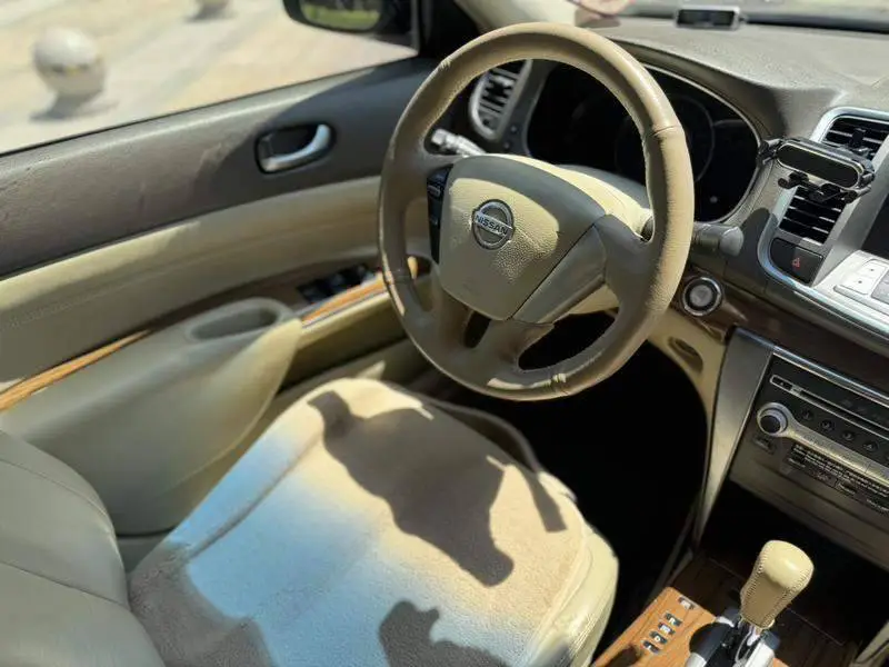 Tianlai 2012 2.0L XL Smart Edition — 7