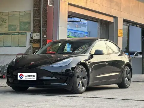 Model 3 2021 Standard Range RWD Upgraded 3D6