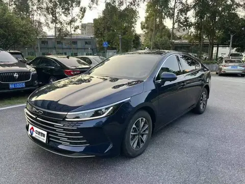Destroyer 05 2024 Honor Edition DM-i 55KM Luxury
