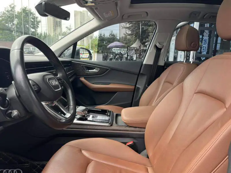 Audi Q7 2020 55 TFSI quattro S line sports model — 18
