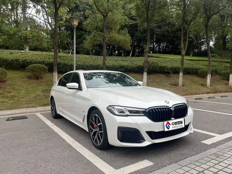 BMW 5 Series 2021 530Li Premium M Sport Package — 3