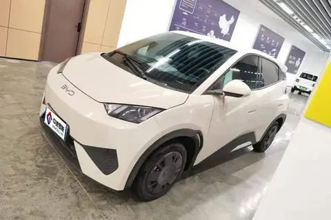 Seagull 2025 305km Vitality Edition