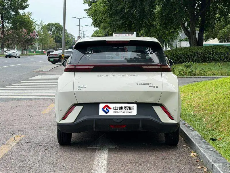 Seagull 2024 Glory Edition 305km Vitality Edition — 5
