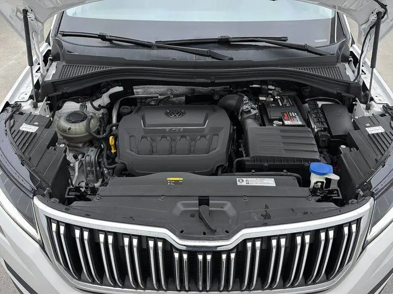 Kodiak 2020 TSI330 5-seater 2WD Luxury Edition — 10
