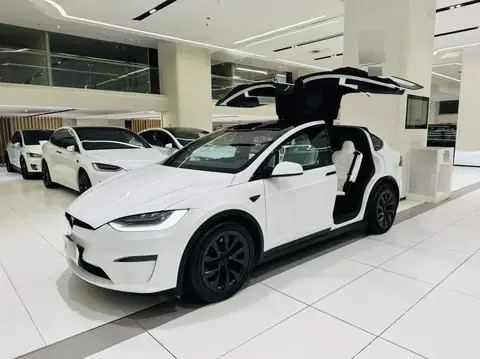 Model X