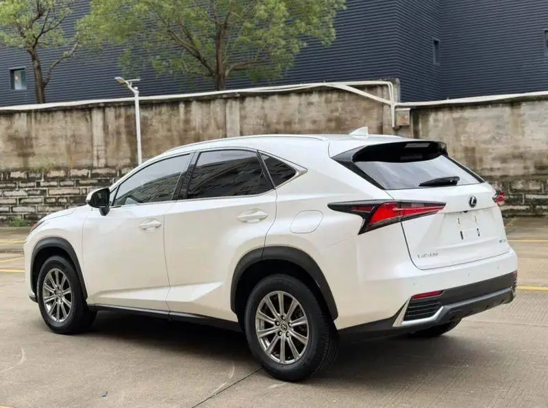 Lexus NX 2020 200 All-wheel Drive Frontier Edition National VI — 4