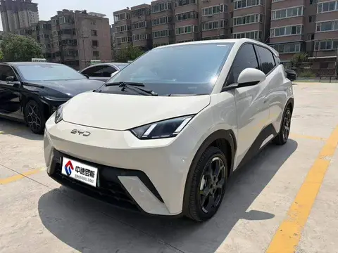 Seagull 2024 Glory Edition 405km Flying Edition