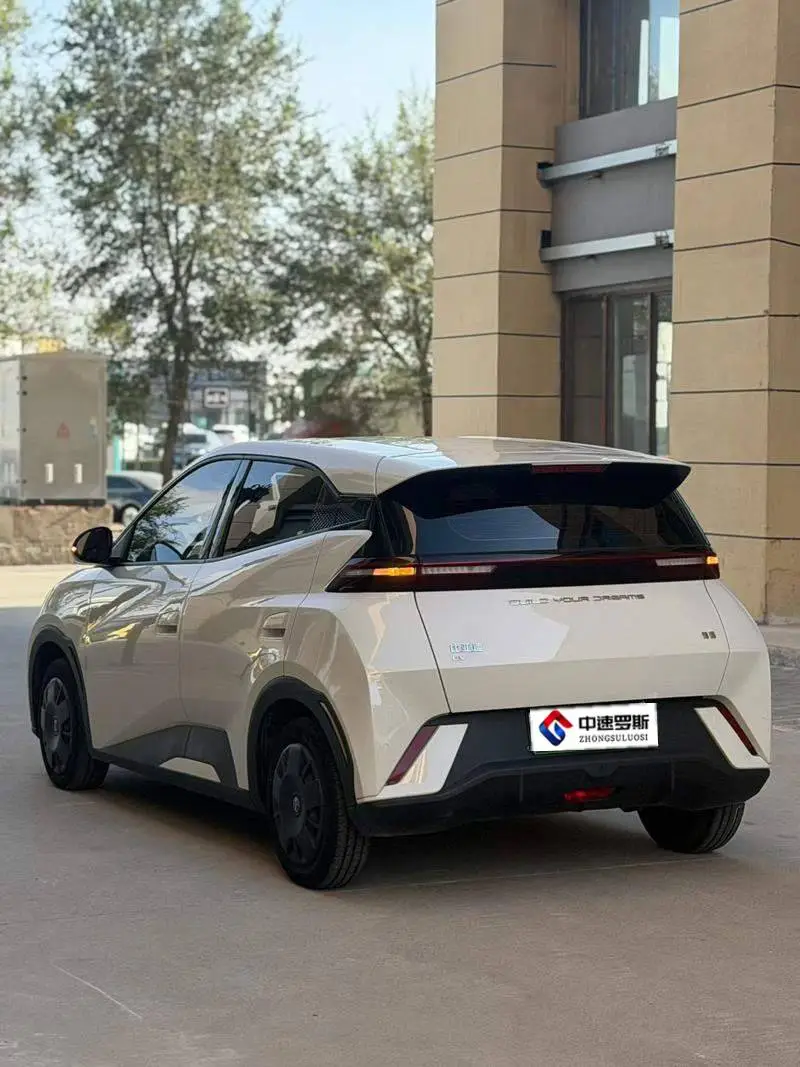 Seagull 2023 Vitality Edition — 4
