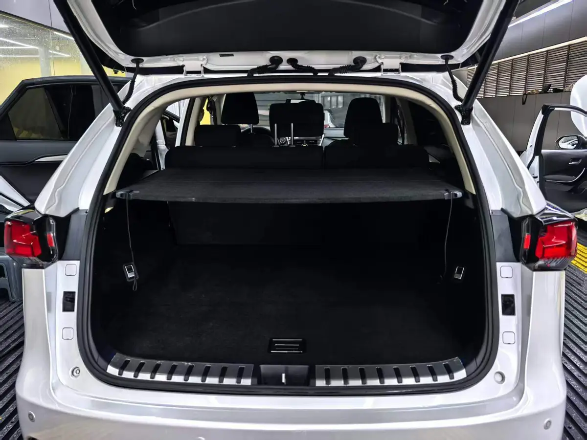 Lexus NX 2020 200 Front-Drive Vanguard Edition National V — 10