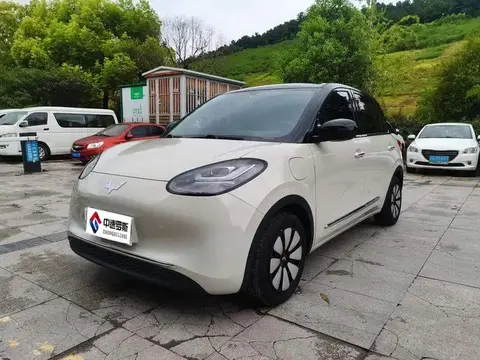 Wuling Bingo 2023 333km Enjoy Edition