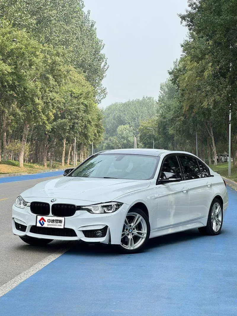 BMW 3 Series 2019 320Li M Sport Package — 8