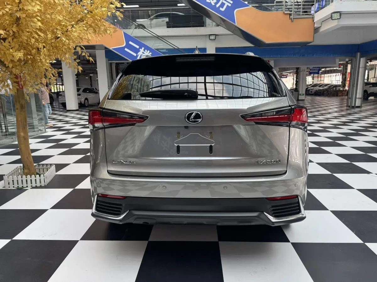 Lexus NX 2020 200 All-wheel Drive Frontier Edition National VI — 5