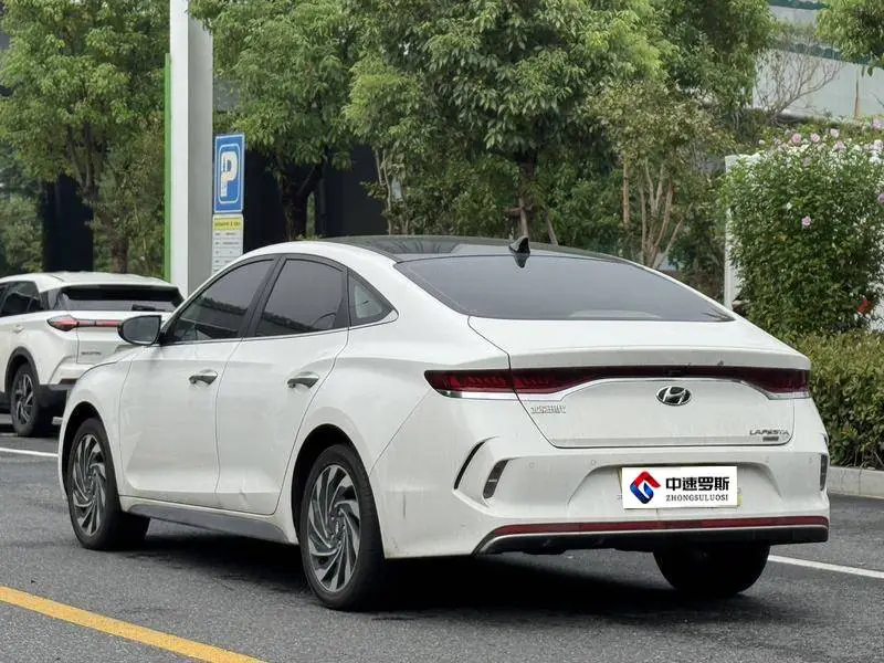 Festa pure electric 2020 GLS Free Travel Edition — 5
