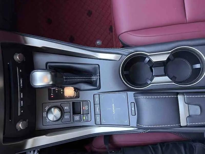 Lexus NX 2020 200 All-wheel Drive Front Edition National V — 14