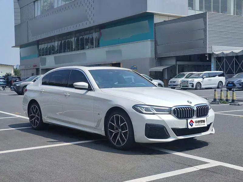 BMW 5 Series 2021 530Li Premium M Sport Package — 3