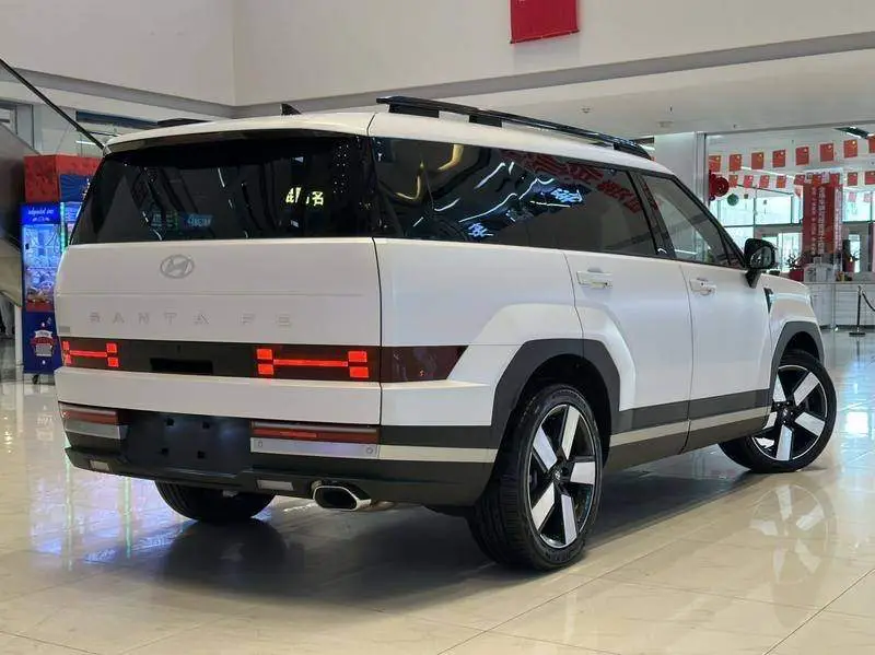 Shengda 2024 2.0T Explorer Pro — 6