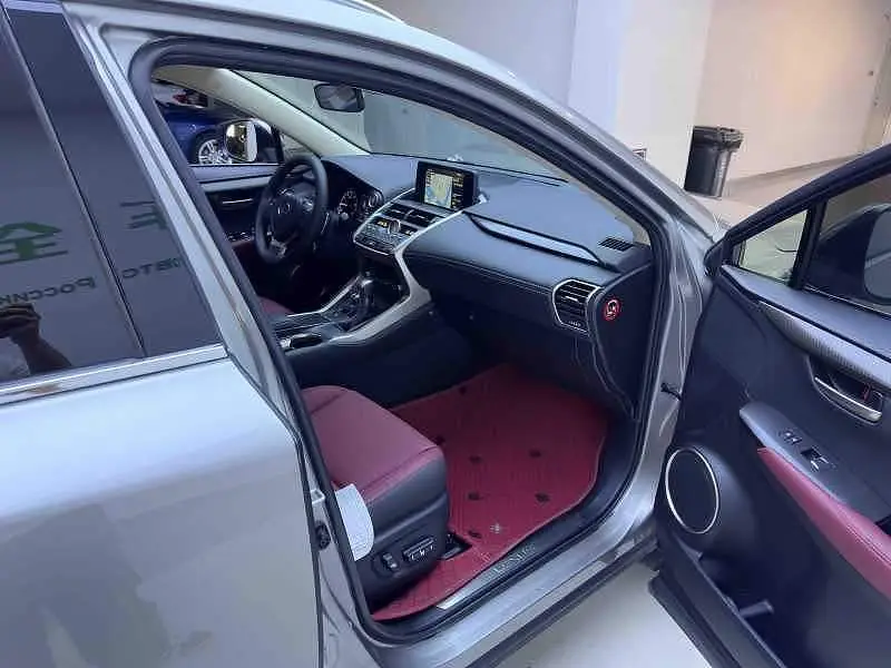 Lexus NX 2020 200 All-wheel Drive Front Edition National V — 12